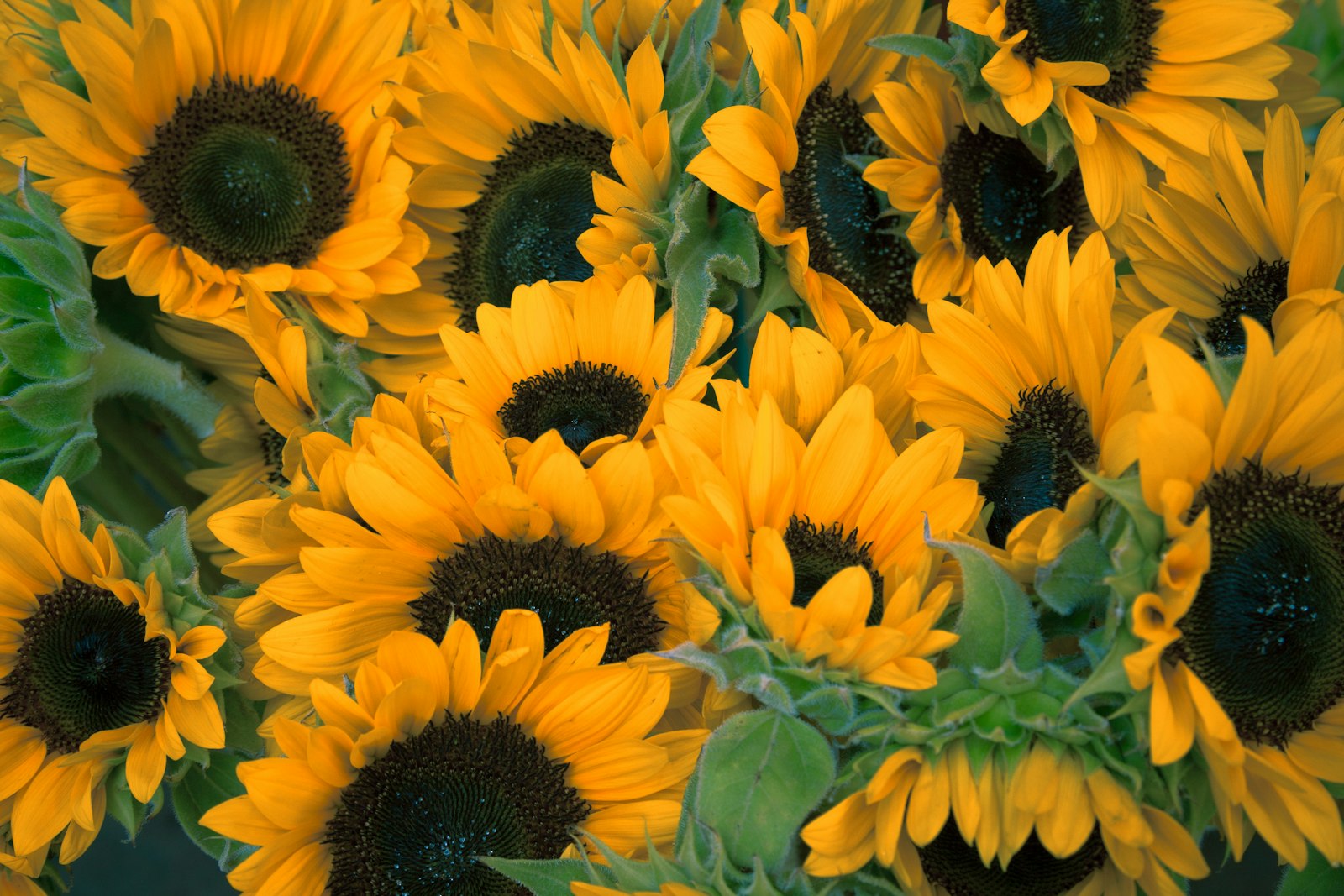 Hand-tied seasonal bouquet (placeholder)
